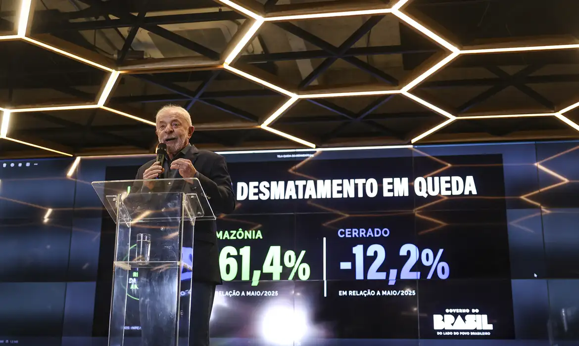 Fiscalização derruba desmatamento ilegal