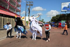 Bois de Parintins reforçam campanha da Cosama