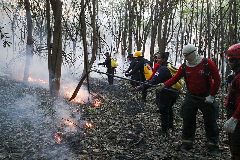 Amazonas avança no combate às queimadas e ao desmatamento