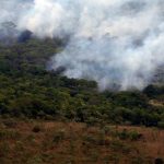 África e Ásia impulsionam queda das emissões