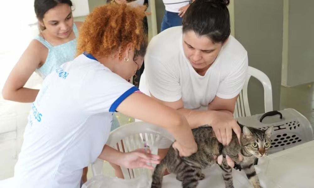 Manaus oferece 295 vagas para campanha antirrábica
