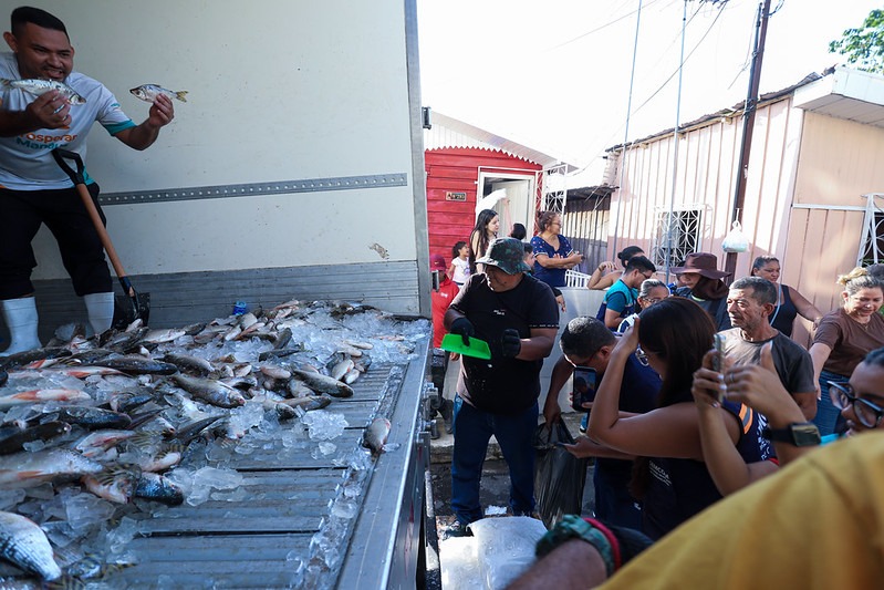 Viver Melhor 4 recebe 20 mil peixes em Manaus