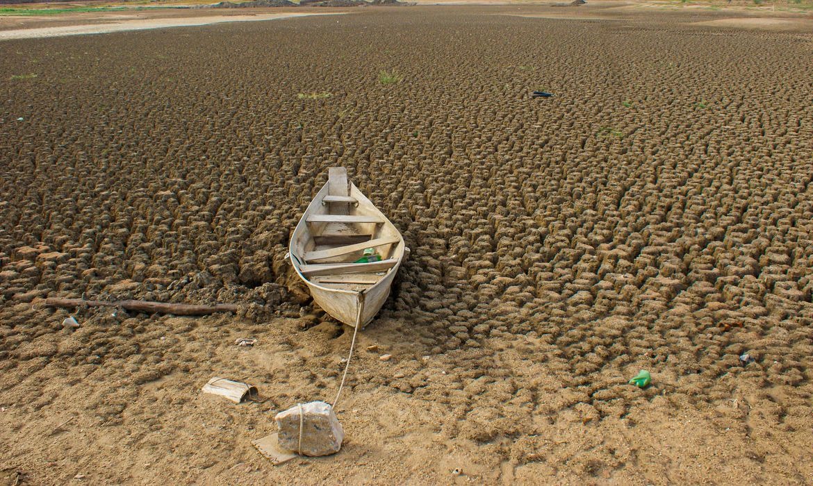 Brasil registra 55,7 milhões de hectares em risco de degradação