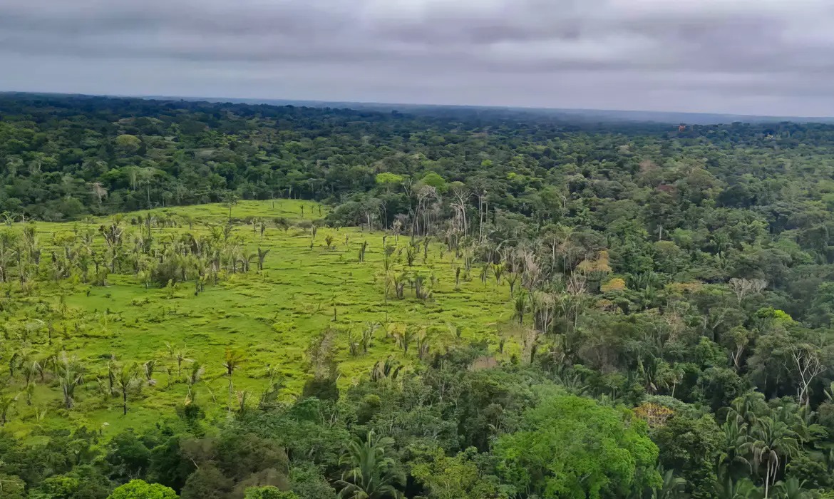 60% das terras indígenas ficaram sem desmatamento