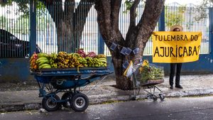 Ajuricaba-Me resgata história dos Manaú em Manaus