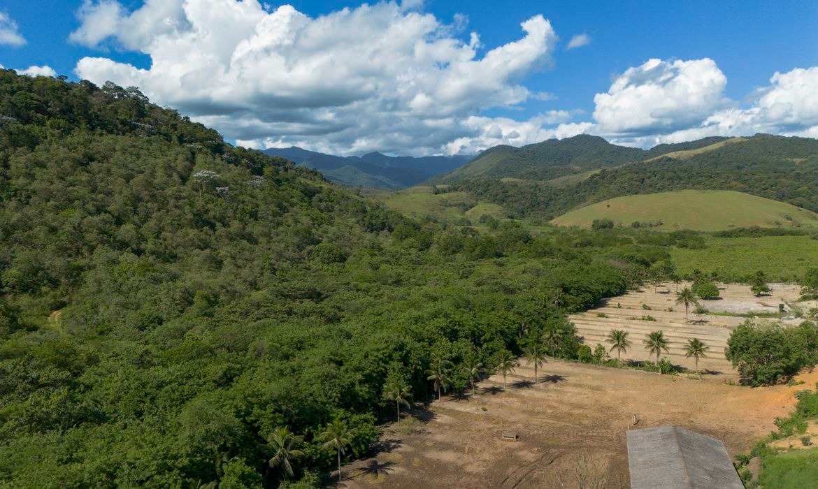 Agricultura ocupa 20,5 milhões de hectares na Mata Atlântica