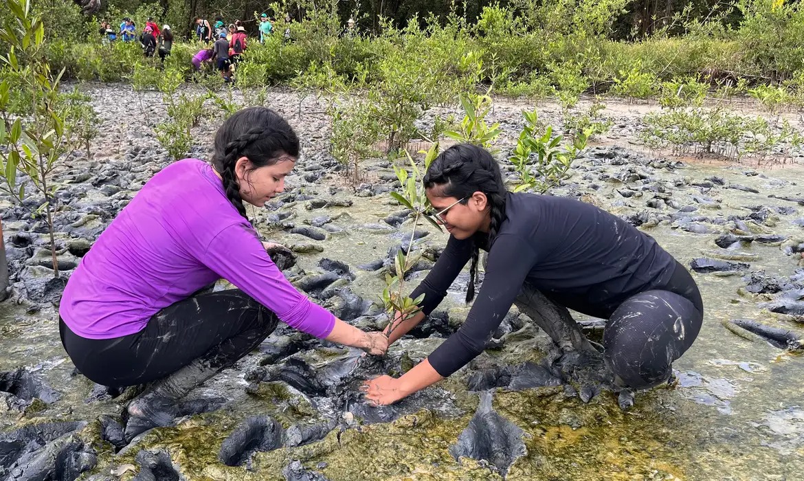 Educação Ambiental pela Vida será tema de fórum nacional