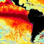 Amazônia teve temperatura 2,6°C acima da média