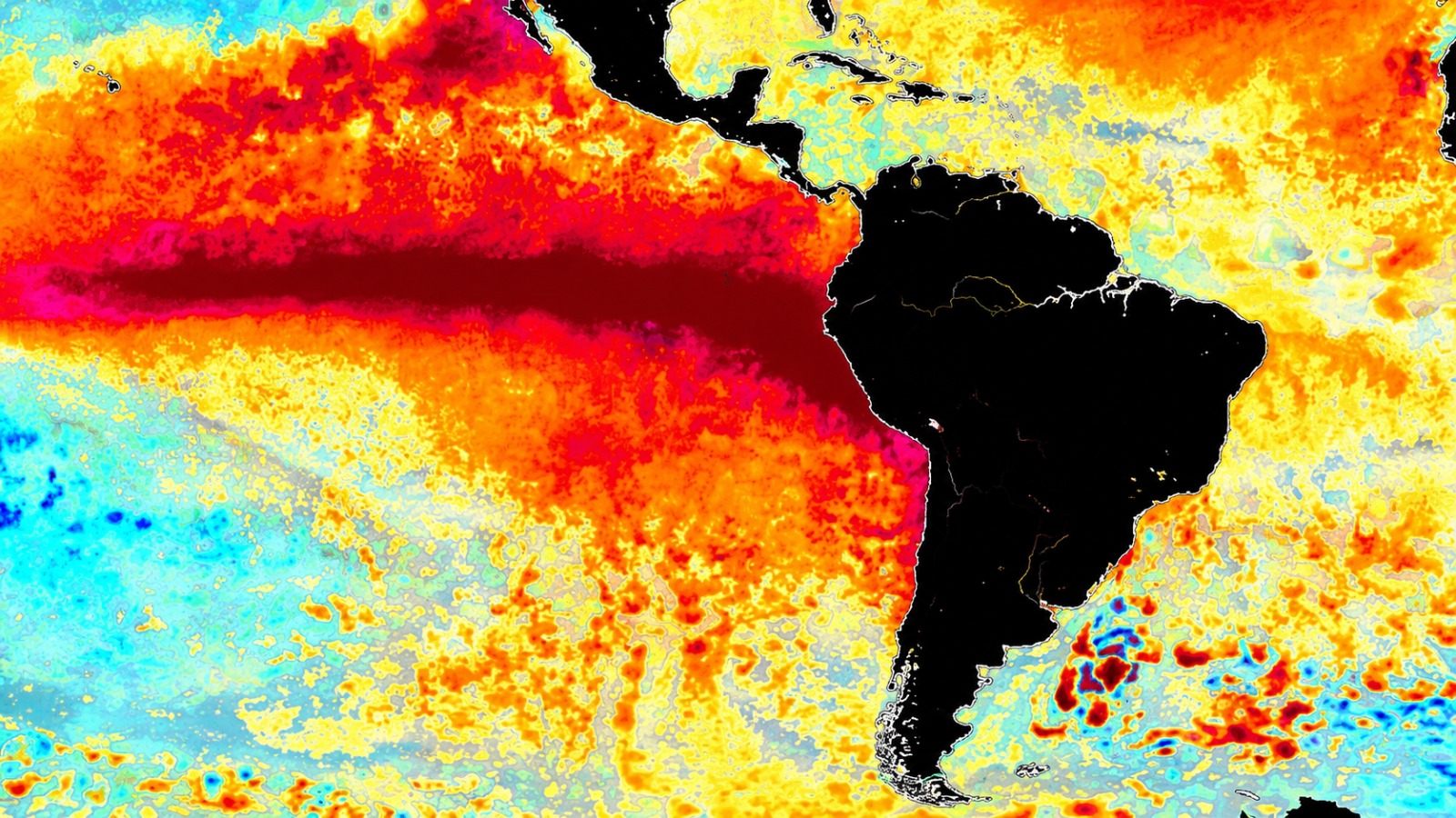Amazônia teve temperatura 2,6°C acima da média