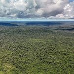 Como funciona o Eco Invest Brasil