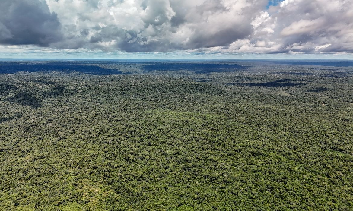 Como funciona o Eco Invest Brasil
